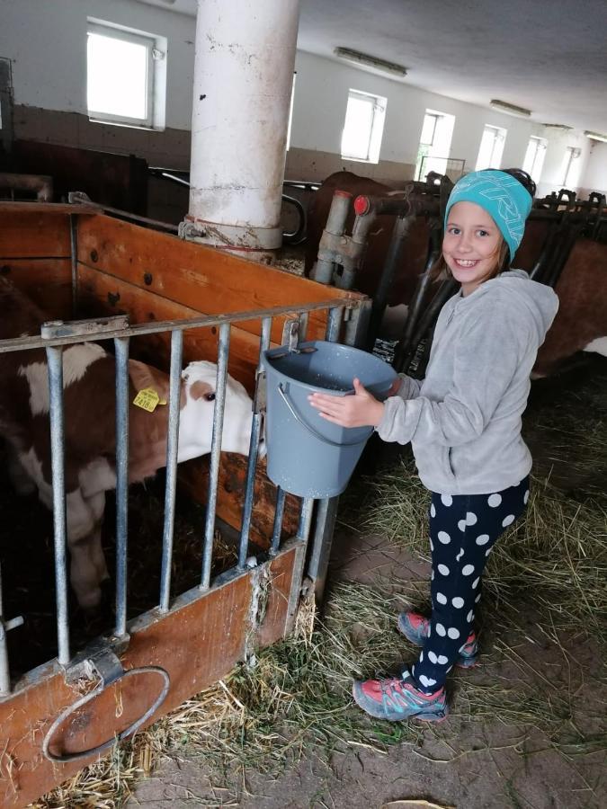 Fitzlhof Lägenhet Sankt Koloman Exteriör bild
