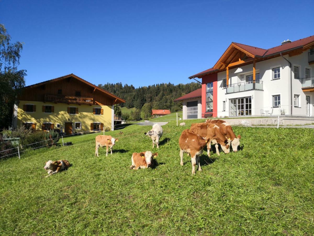 Fitzlhof Lägenhet Sankt Koloman Exteriör bild