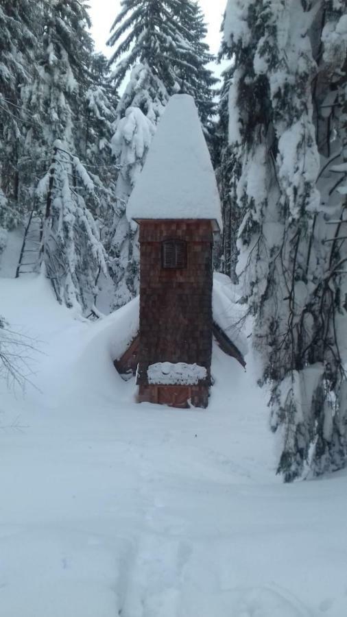 Fitzlhof Lägenhet Sankt Koloman Exteriör bild